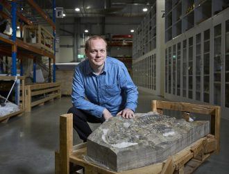 Heavyset, gnarly and 240m years old: This amphibian fossil is finally named
