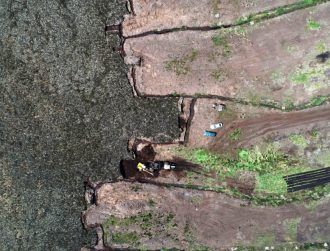 Researchers propose using AI to protect Ireland’s peatlands