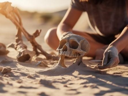Early humans in Europe were likely wiped out by a big freeze