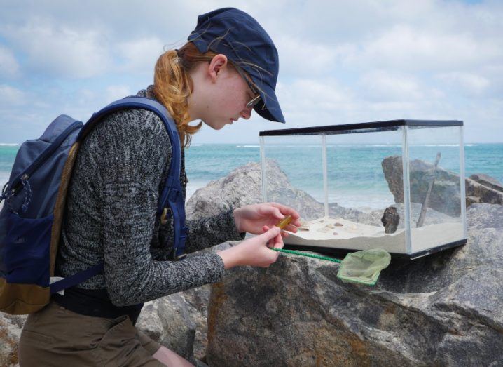 Marine researcher kneeling at some rocks by the sea with a tank and a small net. She is taking notes and recording samples.