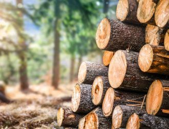 Cork’s Treemetrics is bringing tracing tech to EU forests