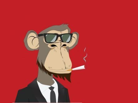 Who are the founders of Bored Ape Yacht Club?